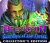  Dreampath: Guardian of the Forest Collector's Edition παιχνίδι