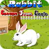  Rabbit Escape From Eagle παιχνίδι