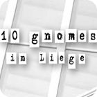  10 Gnomes in Liege παιχνίδι