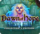  Dawn of Hope: The Frozen Soul Collector's Edition παιχνίδι