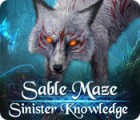  Sable Maze: Sinister Knowledge Collector's Edition παιχνίδι