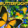  Butterflight παιχνίδι