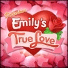  Delicious: Emily's True Love παιχνίδι