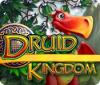  Druid Kingdom παιχνίδι