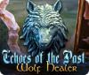  Echoes of the Past: Wolf Healer παιχνίδι