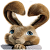  Hop: Easter Bunny Coloring παιχνίδι