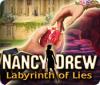  Nancy Drew: Labyrinth of Lies παιχνίδι
