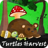  Turtles Harvest παιχνίδι