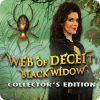  Web of Deceit: Black Widow Collector's Edition παιχνίδι